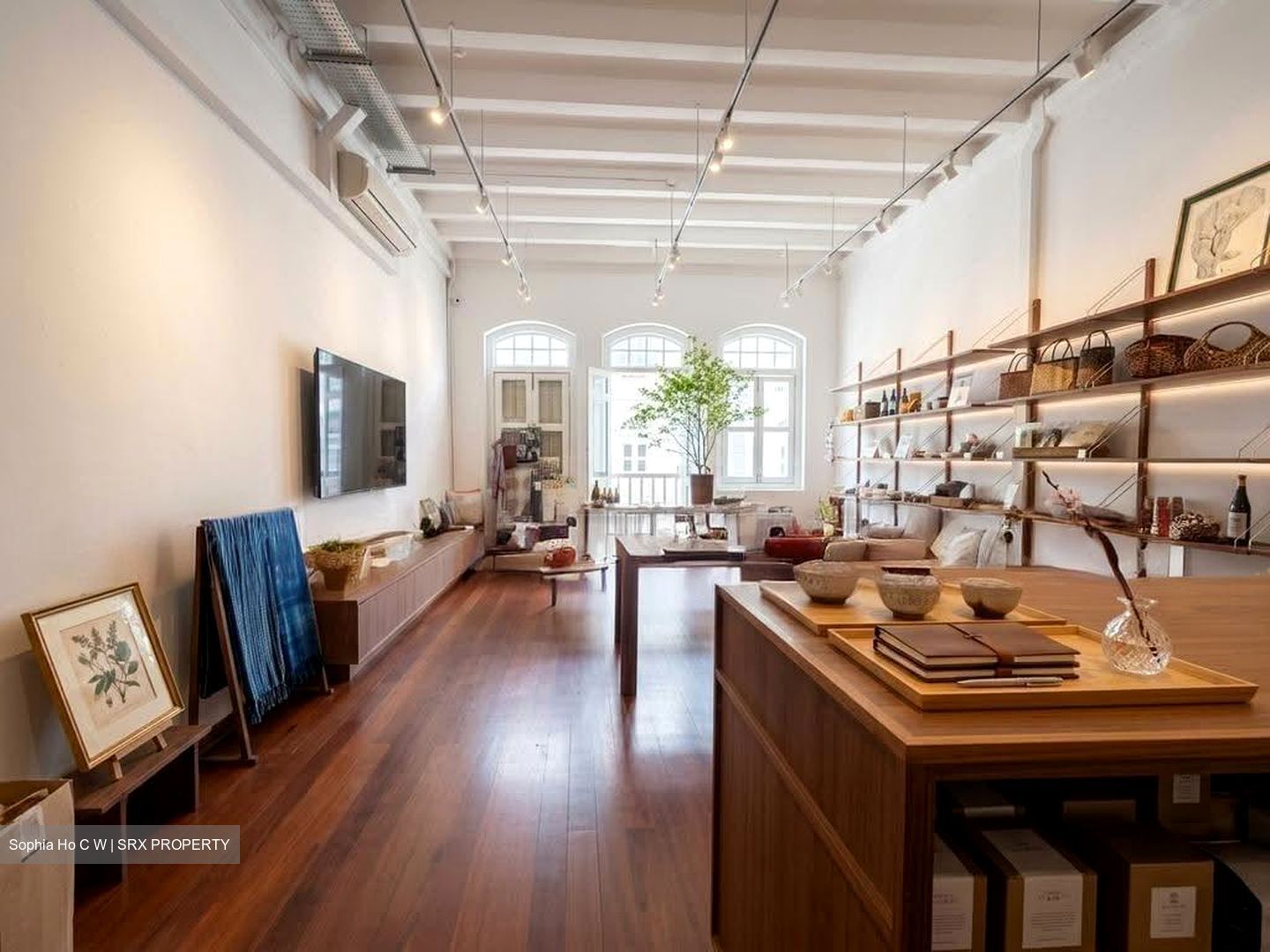 Tras Street (D2), Shop House #628845301